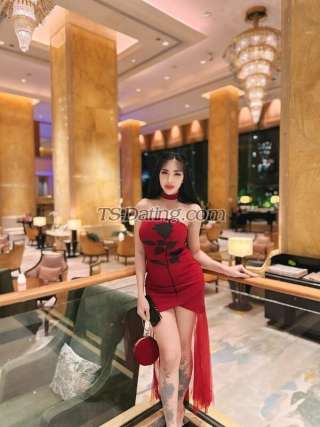 trans girl Sexymj 7592144 trans girl Sexymj 7592144