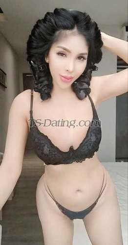 trans girl Sexymj 8454987 trans girl Sexymj 8454987