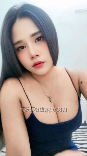trans girl Sexynutty74 0425936 trans girl Sexynutty74 0425936