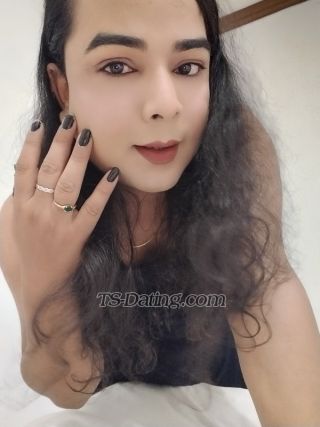 trans girl Sexytasha 8473767 trans girl Sexytasha 8473767