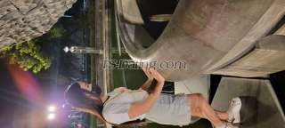 trans girl Sexytransteph 3567632 trans girl Sexytransteph 3567632