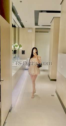 trans girl Sexytransteph 4621256 trans girl Sexytransteph 4621256