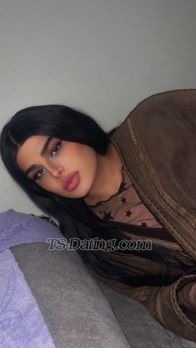 trans girl Shaghaf 0252175 trans girl Shaghaf 0252175
