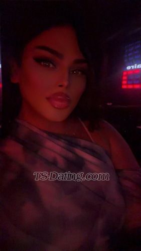 trans girl Shaghaf 3975269 trans girl Shaghaf 3975269