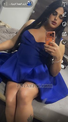 trans girl Shaghaf 7490852