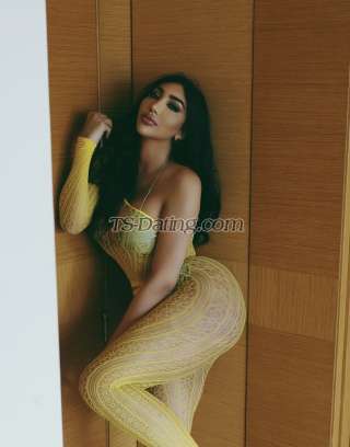 trans girl Shahooda 8358424 trans girl Shahooda 8358424