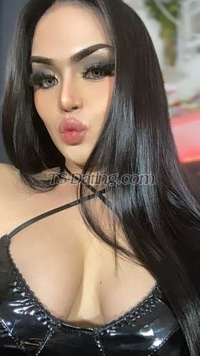 trans girl Shainna08 3696855