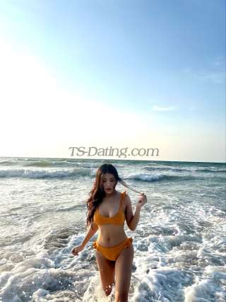 trans girl Shalee 1151399 trans girl Shalee 1151399