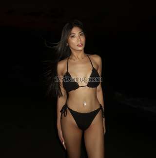 trans girl Shalee 6196499 trans girl Shalee 6196499