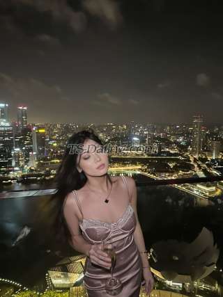 trans girl Shalee 8454342 trans girl Shalee 8454342