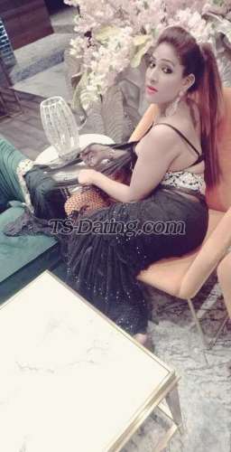 trans girl ShaleenPatel 3519790 trans girl ShaleenPatel 3519790