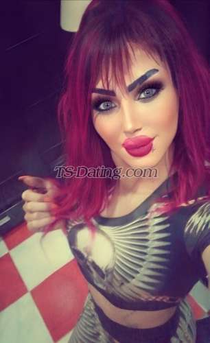 trans girl Shamosy 4645446 trans girl Shamosy 4645446