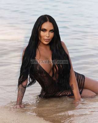 trans girl Shanellxl 4352400