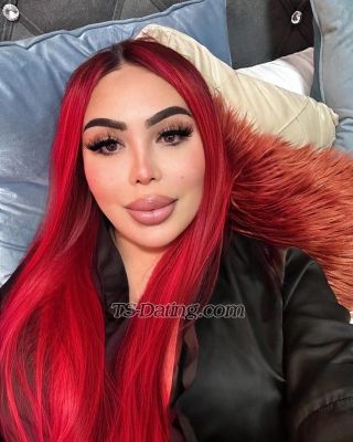trans girl Shanellxl 9415699 trans girl Shanellxl 9415699