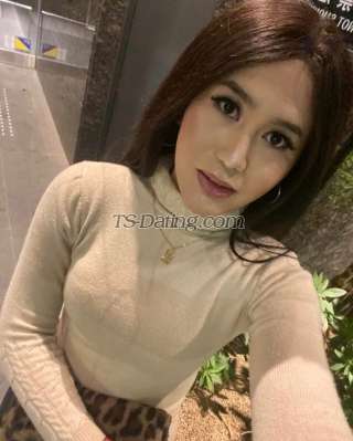 trans girl Shaneza 2453290 trans girl Shaneza 2453290
