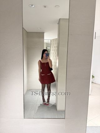 trans girl Shaninexx 7274734 trans girl Shaninexx 7274734