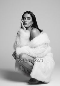 Sharif Kaohsiung Transex 