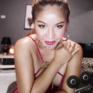 trans girl ShashaTs 0293674 trans girl ShashaTs 0293674