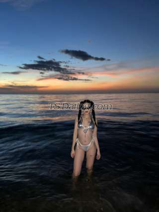 trans girl Shaznaee 4126384 trans girl Shaznaee 4126384