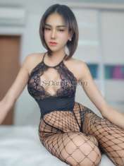 SheNadia270 Kuala Lumpur Transex Wechat. ID = Candy_0739
Telegram :
@CandyTh7979

👍AVAILABLE now

***SAFE and
CLEAN***
This is me  
versatile make oil massage
service available now.
👍 good TOP sweet BOTTOM ☺️
I have 🍌7 inches with big cum 💦
- If you looking
for nice experience, I can make your dream come true.
-
I also can be your fantasy whatever you like. Please just
let me know.
- Don’t be shy. You are very welcome for
first time, you will leave with happy.
💋I can do
French kiss / can suck without condom / can do PRIVATE Party
/ We can cum together 💋
🍌I have big cock , very
soft skin, white skin, good body, 👱‍♀️ black hair ,
long legs, and sexy lip 💄💋
😘 if you want to
know more about me or to ask for…! just message me.i will
be very happy to reply and answer your call...
🙏
Pls.... don’t waste my time. contact and meet for now or
today and tomorrow is ok not appointment for next week or
next month 🙏💖😘

🥰 clean and safe
🥰

👉 Service about
✅ I have
Popper
✅ Anal sex
✅ 69
✅ COB
✅
Domination,
✅ face sittingfoot fetish,
✅ Erotic
massage
✅ Oral sex-blowjob
✅ Cim
✅ kissing
😘
✅ Submissive etc.
Have a SAFE and DISCREET
FUN everyone! Cheers!!!