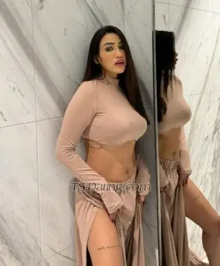 Shemale Shemalets 9519826 Shemale Shemalets 9519826