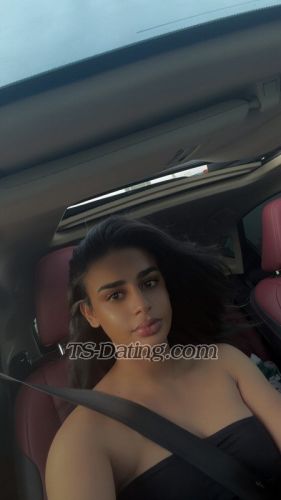 trans girl ShemelGGc 1527062