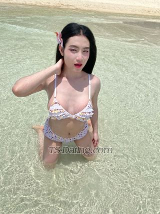 trans girl Shene123 8844694 trans girl Shene123 8844694