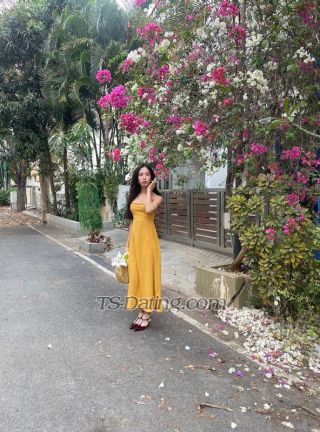 trans girl Shimmerdema 4177258 trans girl Shimmerdema 4177258