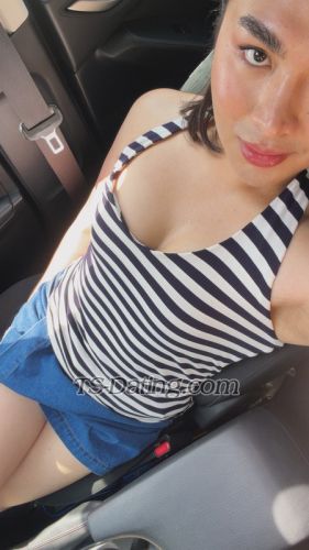 trans girl ShizukaDoll 4569380