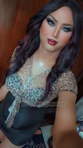 trans girl Shomooq 0228466 trans girl Shomooq 0228466