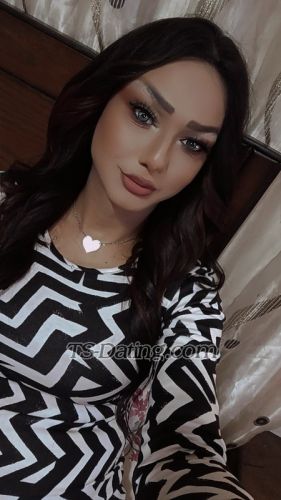 trans girl Shomooq 8586319 trans girl Shomooq 8586319