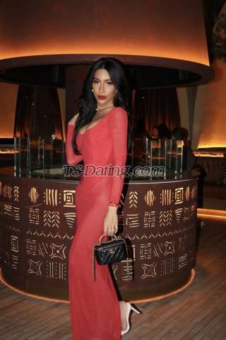 trans girl Shonavers 7168339 trans girl Shonavers 7168339