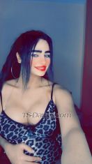 Shoshosexy Cairo Transex Ciao, sono Shosho, tutti sono benvenuti per trascorrere del tempo piacevole. Tutti i servizi sono disponibili, incontri sessuali, sesso telefonico, webcam.