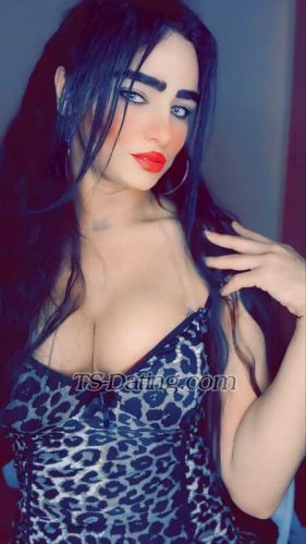 trans girl Shoshosexy 0956371