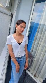 Shristisingh Delhi Transex Hola, hola... Soy shristi de este lado. Soy travesti. Me proporciono juego completo de Boyd con besos, folladas y mamadas en todo el servicio proporcionado... Mi carga es una descarada 7k Desnudos completos Videollamada 2k Llamada de salida 15k