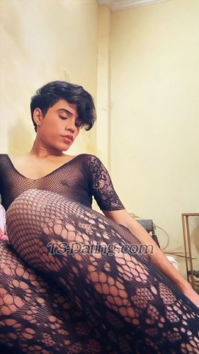 trans girl Shuze 7463305 trans girl Shuze 7463305