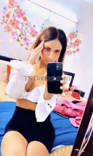 trans girl Shonel 5168265 trans girl Shonel 5168265