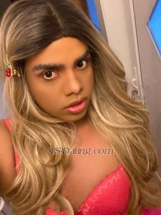 trans girl SienaBerto 1357564 trans girl SienaBerto 1357564