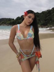 Sierrajoseph Bangalore Transex