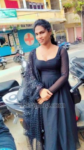 trans girl SiriHoney 0259424 trans girl SiriHoney 0259424