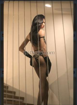 trans girl Sisilayudia 3398132 trans girl Sisilayudia 3398132