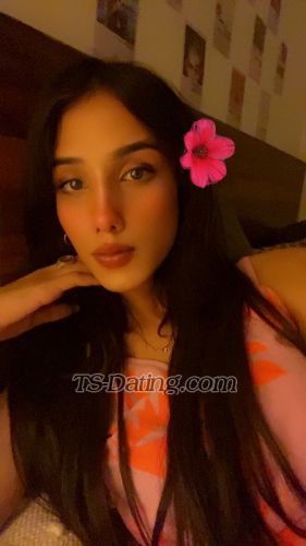 trans girl Sizzyy 7588268 trans girl Sizzyy 7588268