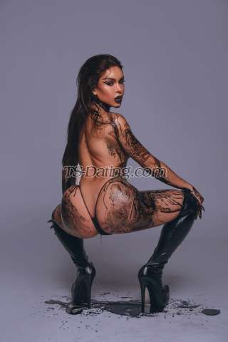 trans girl Slatina 4704187 trans girl Slatina 4704187