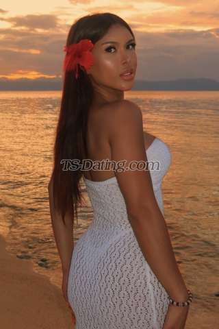 trans girl Slatina 4704514 trans girl Slatina 4704514