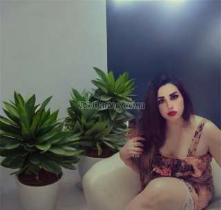 trans girl Sofia22 4303750 trans girl Sofia22 4303750