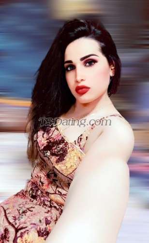 trans girl Sofia22 4304158 trans girl Sofia22 4304158