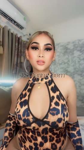 trans girl SofiaNicole 0472427 trans girl SofiaNicole 0472427