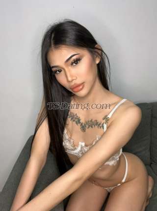 trans girl SofiaThai 2651575 trans girl SofiaThai 2651575