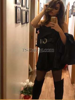 trans girl Sofiaaa 8579559 trans girl Sofiaaa 8579559