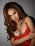 Sofiaastrid Singapore Transex Hello, I am Sofiaa confident, strong, and charming
transgender woman. I have exotic skin with a unique blend of
Asian beauty, an elegant feminine appearance, and a warm,
friendly personalityI like sexy men with strong,
manly bodies that turn me on. I like young, handsome men,
and I am available for services—send me a
messagePlease send me a message via WhatsApp
first📩
